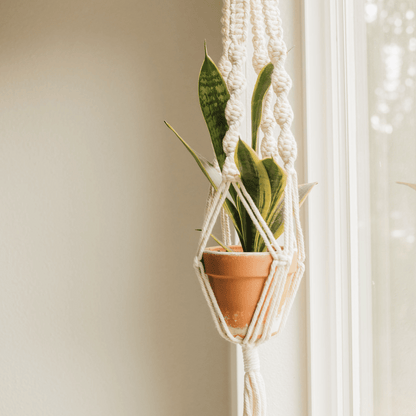 macrame plant hanger in living room Macrame Hanger, Wooden Ring Holder Taupe