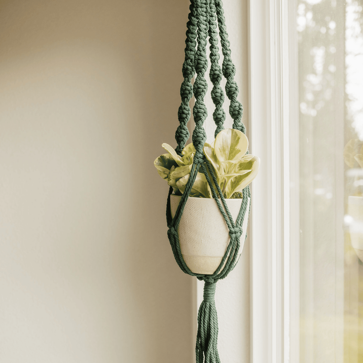 plant store, plant shop, plant parent, plant mom, plant hanger, plant gifts, plant gift, online plant shop, macrame plant hanger. live long and plant, macrame, macrame hanger, plant accessory, plant accessories, hanger for plant