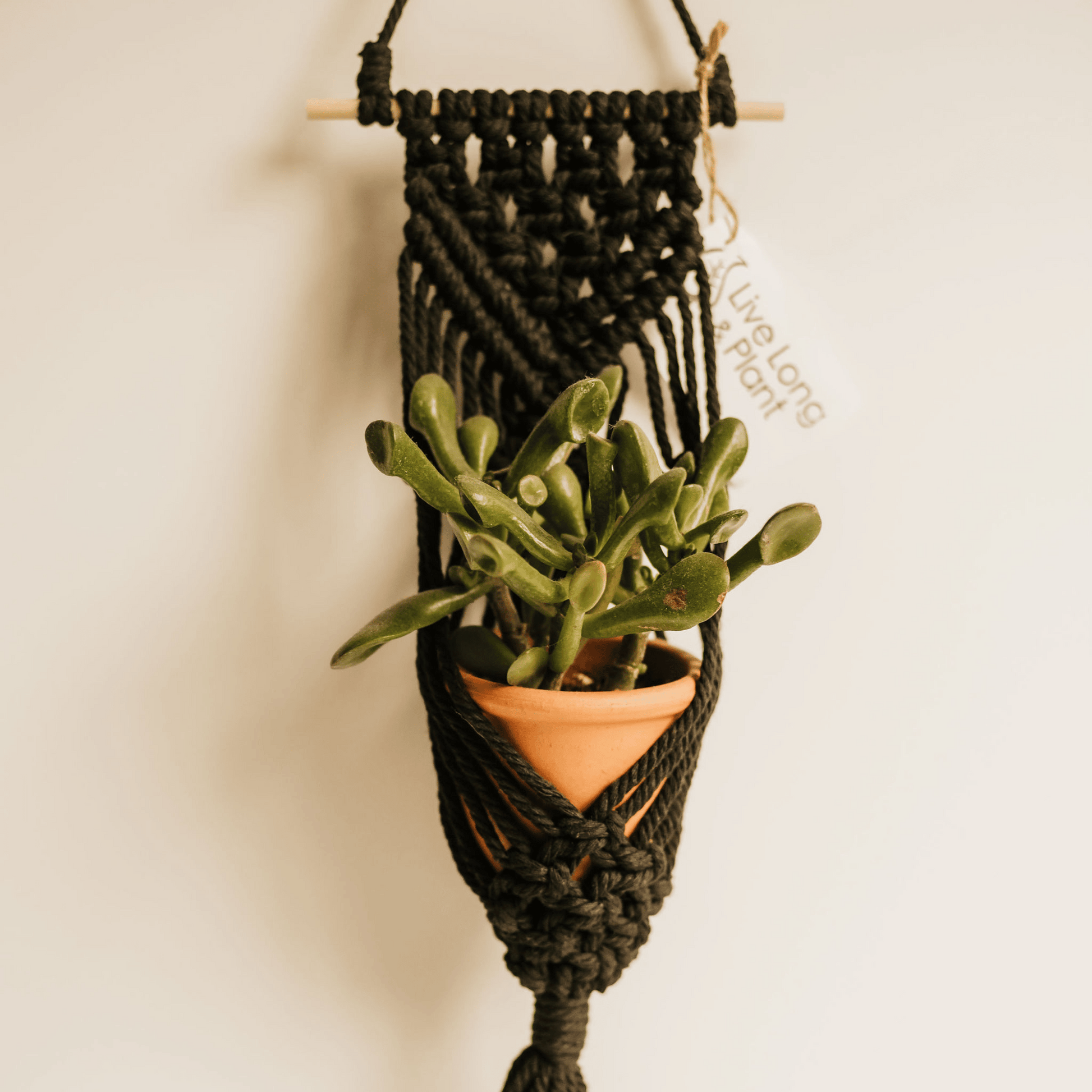 hanging plant bar Macrame Hanger, Wooden Bar Holder Yellow